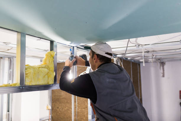 Best Garage Insulation Installation  in Highlands Ranch, CO