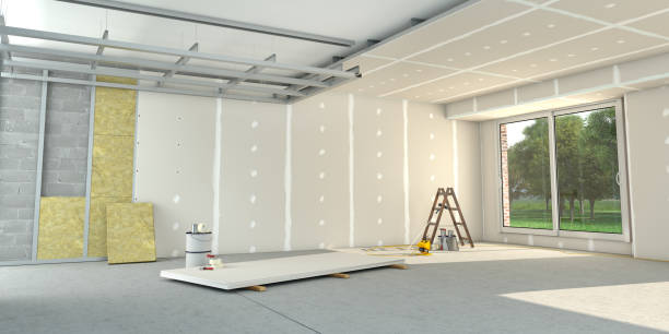 Best Attic Insulation Near Me  in Highlands Ranch, CO