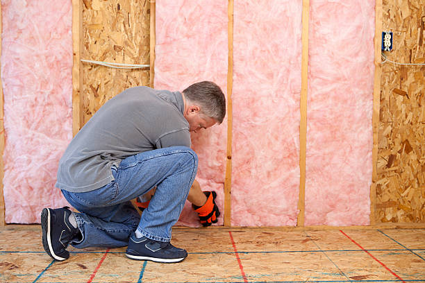 Insulation Inspection Services in Highlands Ranch, CO