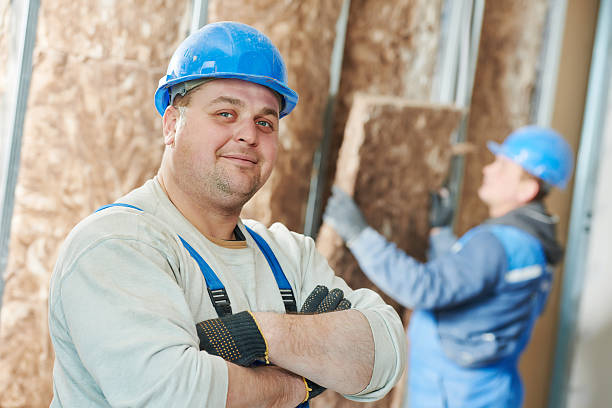 Best Local Insulation Services  in Highlands Ranch, CO