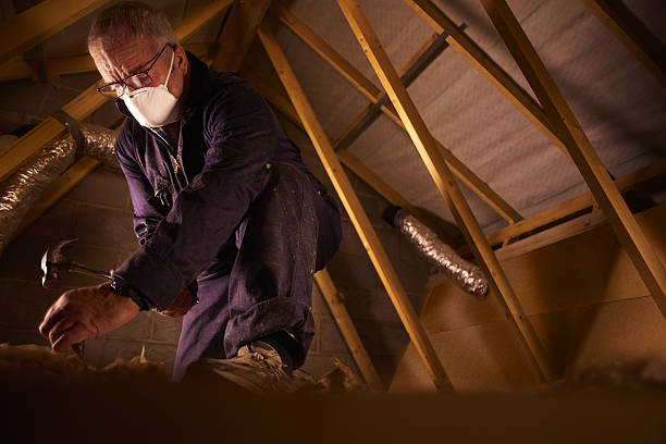 Best Insulation Repair Services  in Highlands Ranch, CO